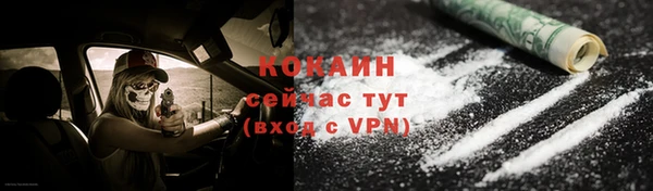 шишки Заволжье