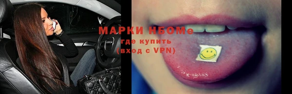 шишки Заволжье