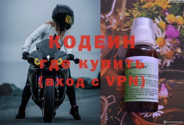 шишки Заволжье