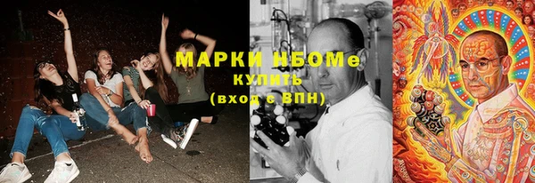 шишки Заволжье