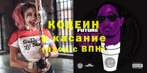 шишки Заволжье