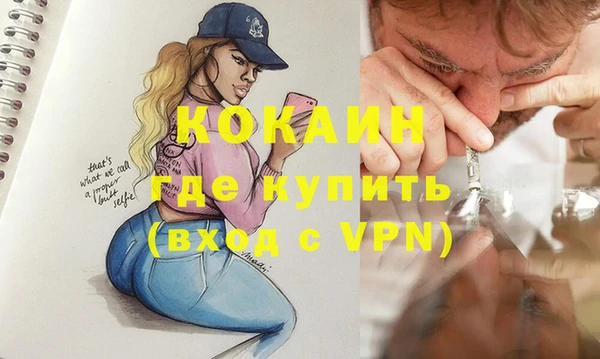 шишки Заволжье