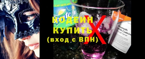 шишки Заволжье