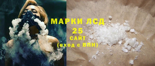 шишки Заволжье