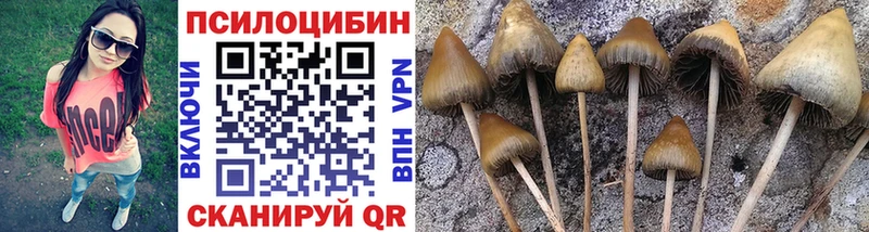 Купить  Ишим  Псилоцибиновые грибы мухоморы 